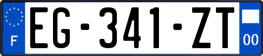 EG-341-ZT