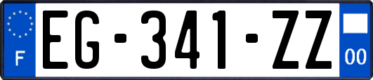 EG-341-ZZ