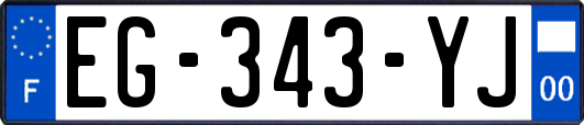 EG-343-YJ