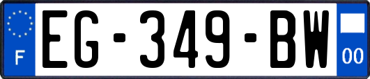 EG-349-BW