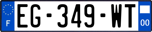 EG-349-WT