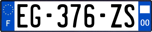 EG-376-ZS