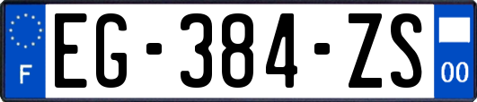 EG-384-ZS
