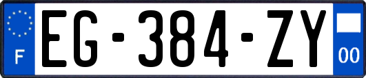 EG-384-ZY