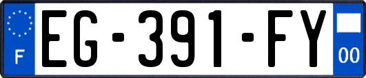 EG-391-FY