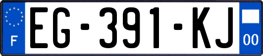 EG-391-KJ
