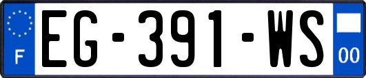 EG-391-WS