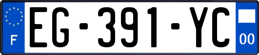EG-391-YC