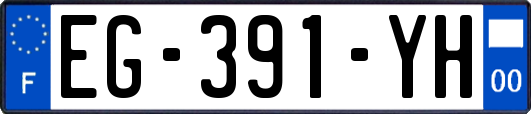 EG-391-YH