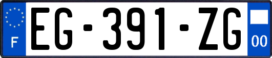 EG-391-ZG