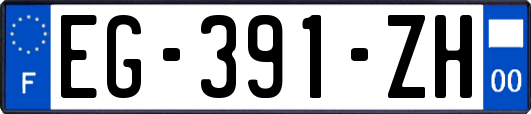 EG-391-ZH