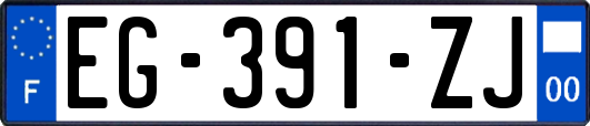 EG-391-ZJ