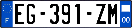 EG-391-ZM