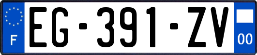 EG-391-ZV