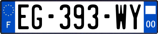 EG-393-WY