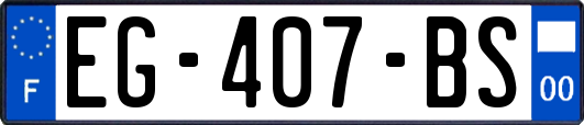 EG-407-BS