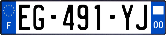 EG-491-YJ