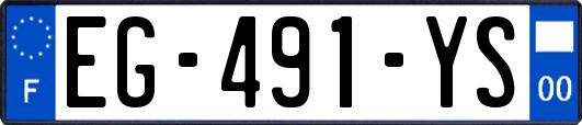 EG-491-YS