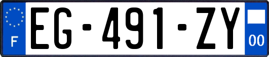 EG-491-ZY