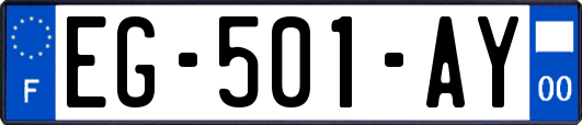 EG-501-AY