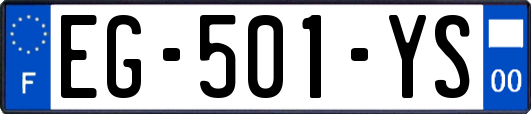 EG-501-YS