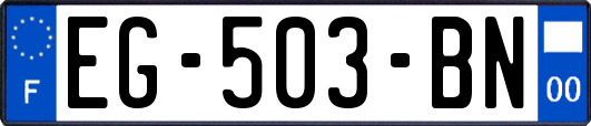 EG-503-BN