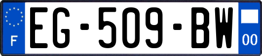 EG-509-BW