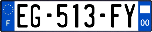 EG-513-FY