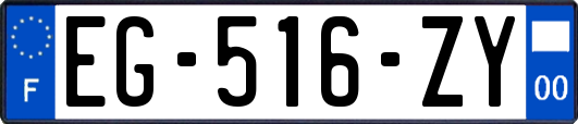 EG-516-ZY