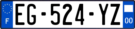 EG-524-YZ