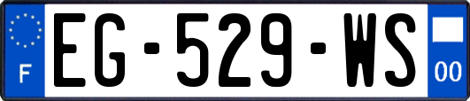 EG-529-WS