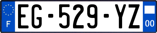 EG-529-YZ
