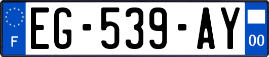 EG-539-AY