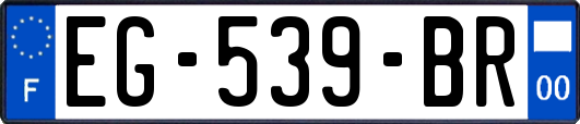 EG-539-BR