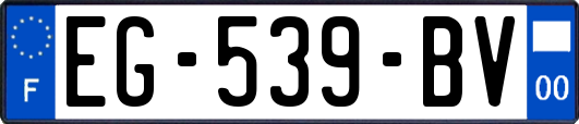 EG-539-BV