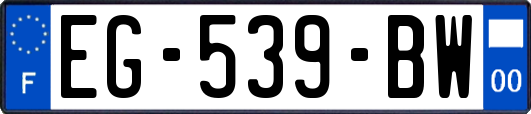 EG-539-BW