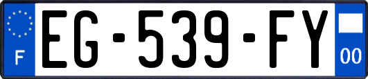 EG-539-FY