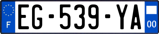 EG-539-YA