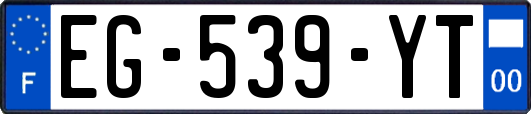 EG-539-YT