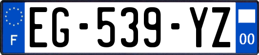 EG-539-YZ