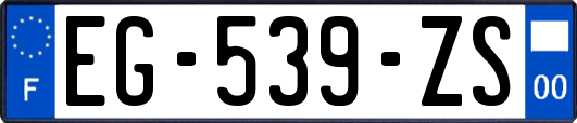 EG-539-ZS