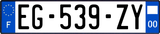 EG-539-ZY