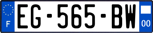 EG-565-BW