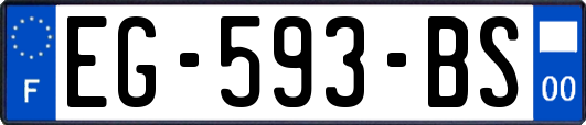 EG-593-BS