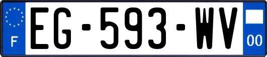 EG-593-WV