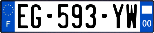 EG-593-YW