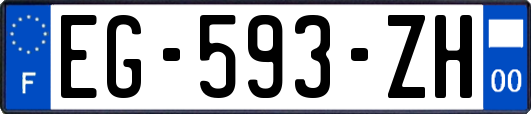 EG-593-ZH