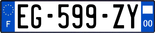 EG-599-ZY