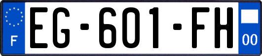 EG-601-FH