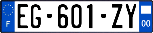 EG-601-ZY